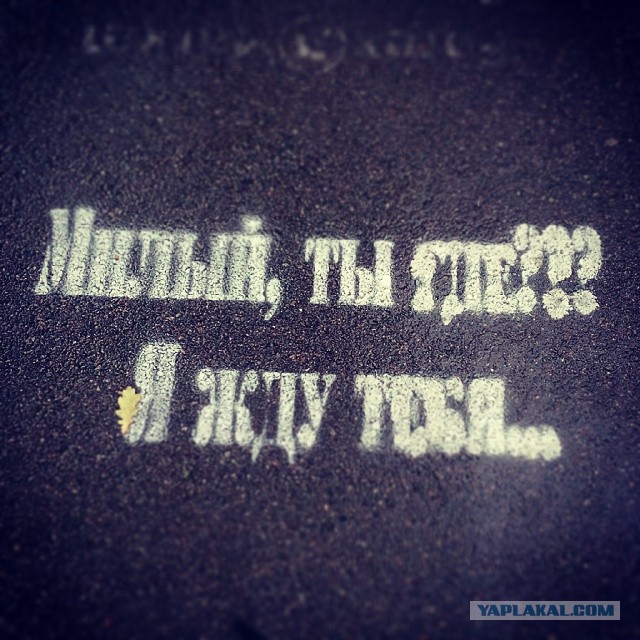 Жемчужина Казахстана! Almaty Tapok Edition