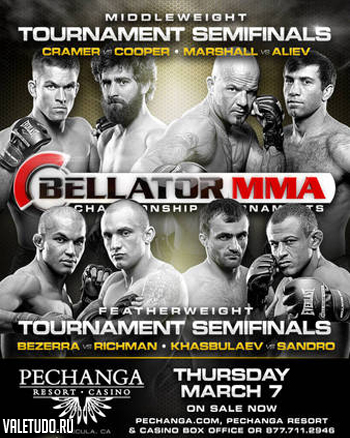 БОКС/MMA....