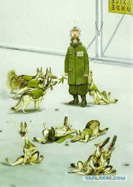 Всем зеленки!