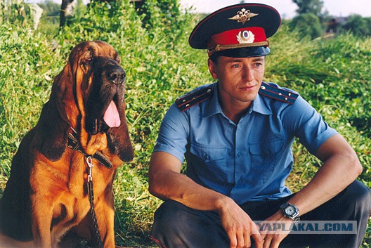 Вот и Сергею Безрукову - 41!