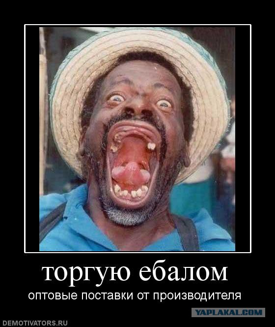 Весёлые картинки