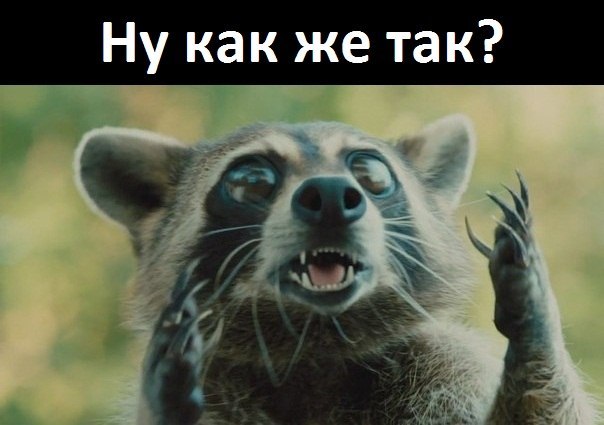 Затмение в Питере