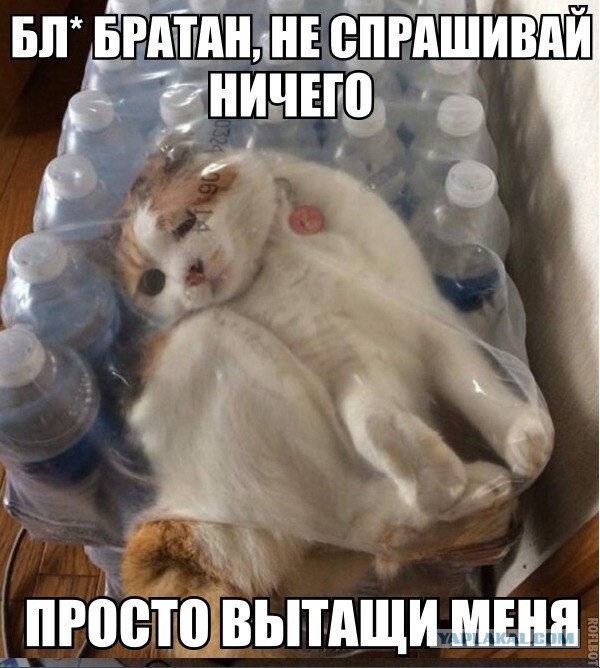 Веселости на пятницу