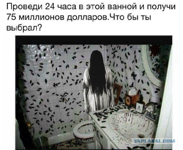 А что бы выбрал ты?