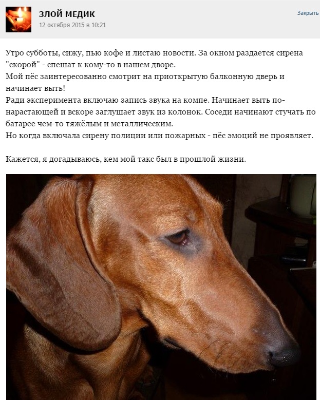 Истории от врачей- 52