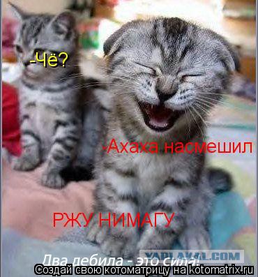 Фотожаберам