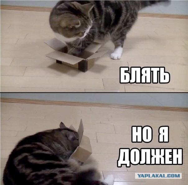 Размеры коробочки на степень удобства не влияют