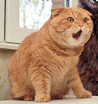 Немного охренел от такой наглости