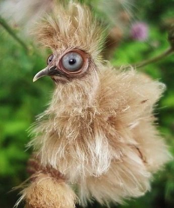 Подборка картинок