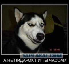 ТП в эфире Динамит ФМ