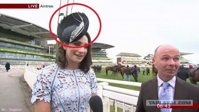 Тусишь такой с любовницей и тут у тебя берут интервью для шоу, которое смотрит твоя жена