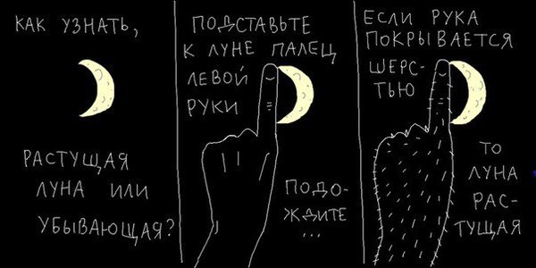 Подборка картинок