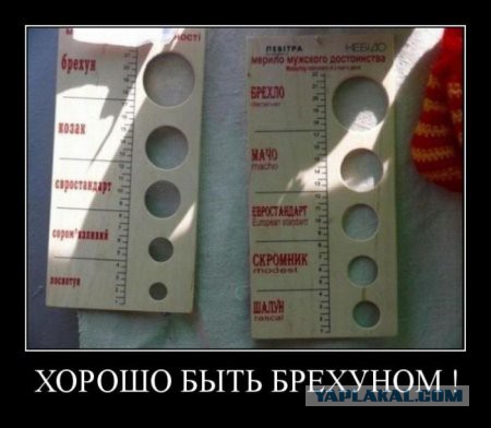 Ученые определили средний размер пениса