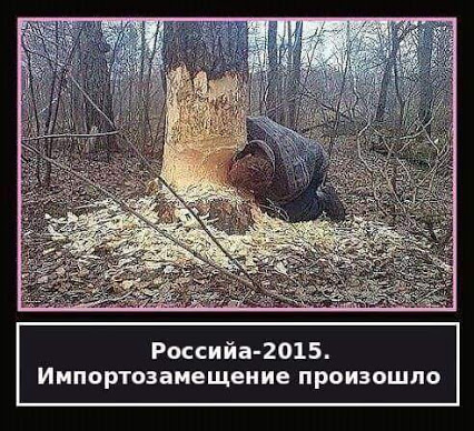 Ставка на элиты: почему обращения к Путину теперь заканчиваются плохо