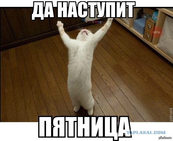 Как я ездил на рыбалку, а поймал раков