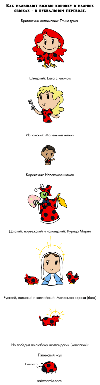 Немного пятничного, картинки и гифки
