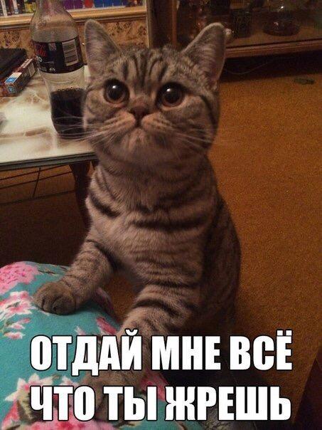 Подборка разного из сети