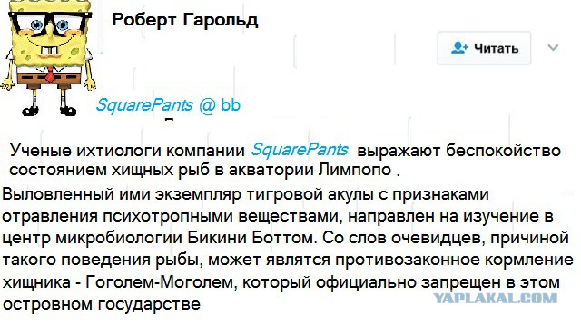 Хроники Лимпопо