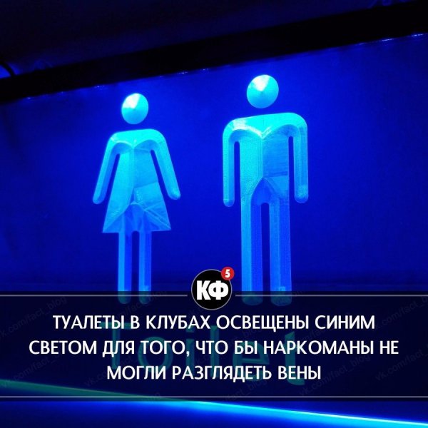 Краткие факты