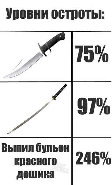 Журнал школьный деградант