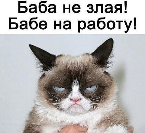 Смешные комментарии из социальных сетей 01.09.2017