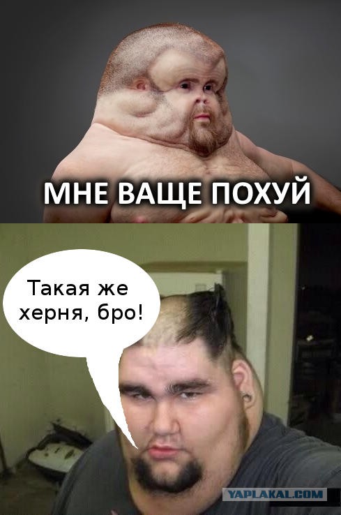 Просто юмор 19