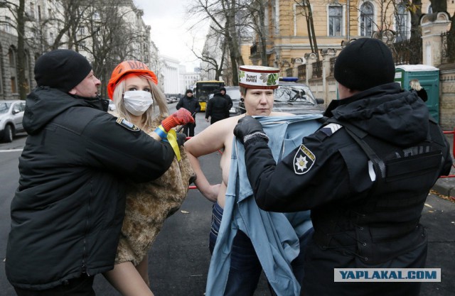 Подборка интересных и веселых картинок