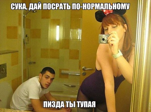 Скотсети и прочие интернеты 12.03.18
