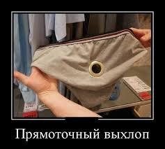 Кремль заявил об "абсолютной стабильности" после обвала рубля на 20%