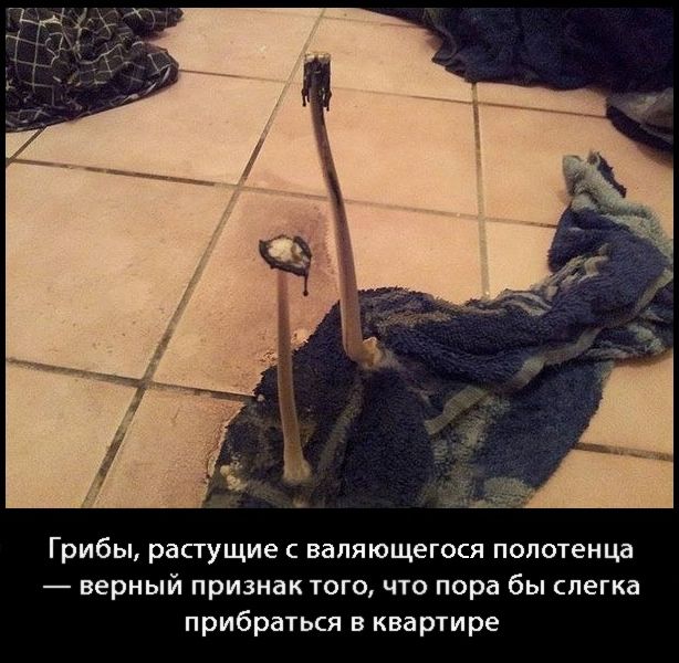 Безнадежность