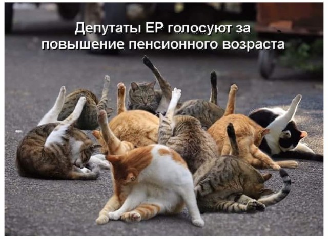 Специфический юмор