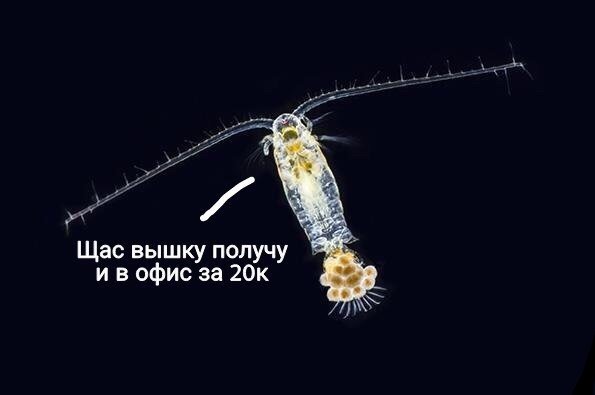 Почему лучше не заниматься бизнесом