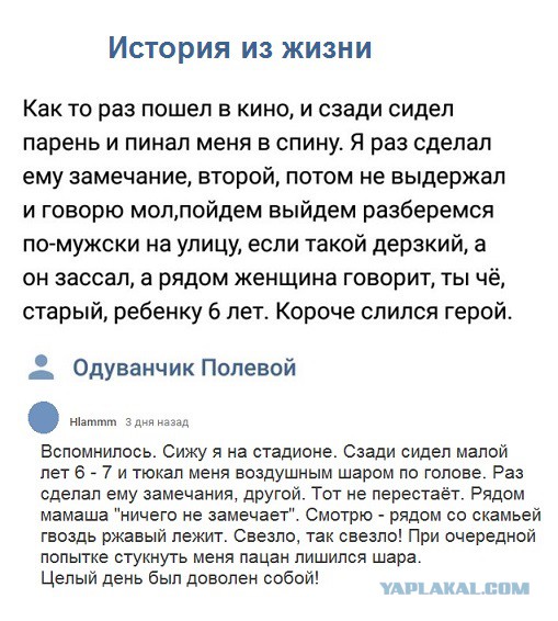 Прикольные комментарии и высказывания из Сети 23. 01.