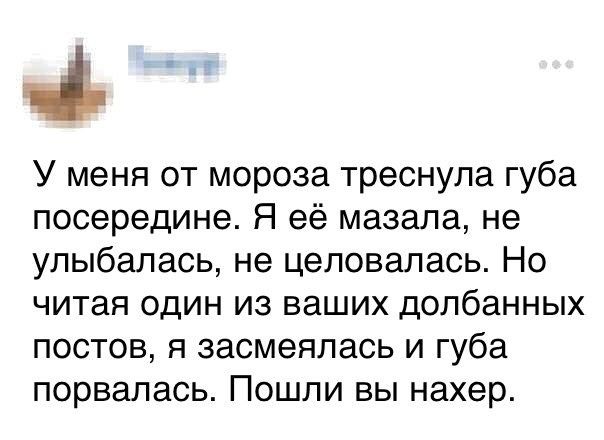 Анекдоты, соц-сети и картинки с надписями