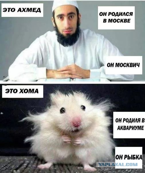 В центре Москвы неизвестные угощают отравленной газировкой и грабят: 24 жертвы, многие были в коме