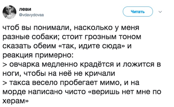 Немного картинок для настроения 29.11.19