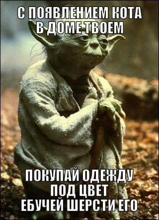 Мы сюда деградировать приходим, или как?