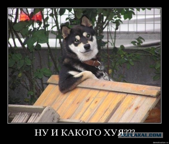 Peugeot... Ну и что? (2 фото)