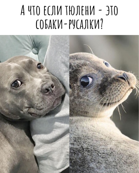 Немного картинок для настроения 22.05.20