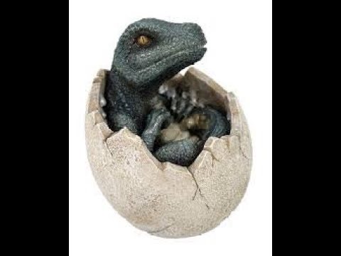 100 забавных фактов со всего мира