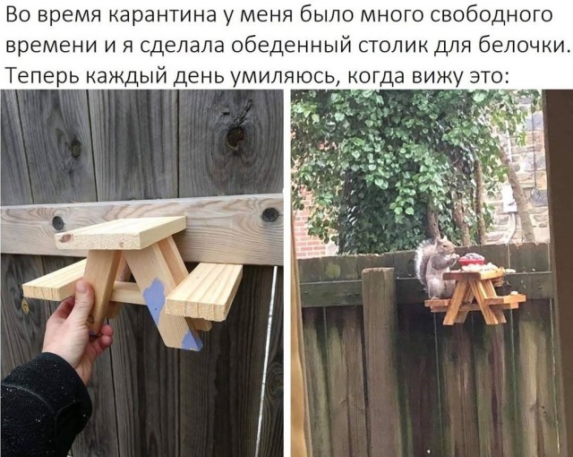Картинки разнообразные. На злобу дня и на доброту (18.06)
