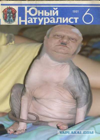 Фотожаба: Наш охранник