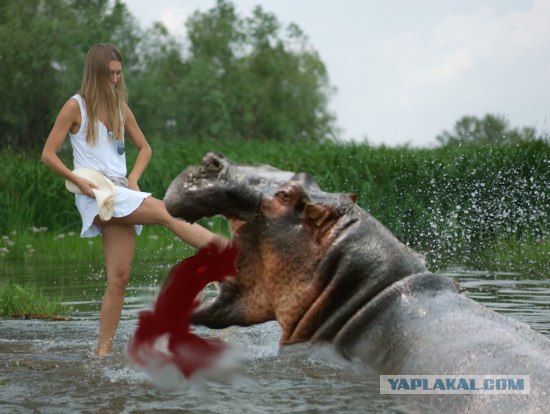 Фотожаба: Волшебный пендаль