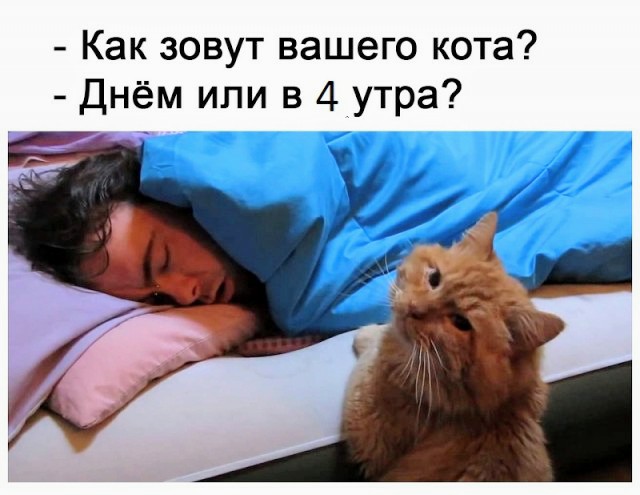 С новым годом! Картинки и мемы для настроения 02.01.2021