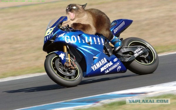 Девушка попросила отредактировать ее фотки...