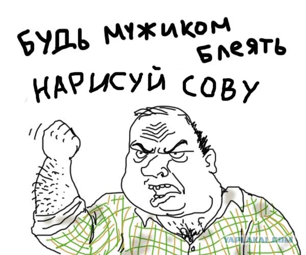 Фотожаба:Нельзя просто так взять и нарисовать СОВУ