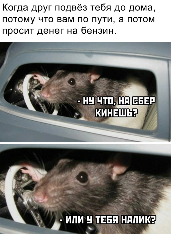 Картинки 11.02