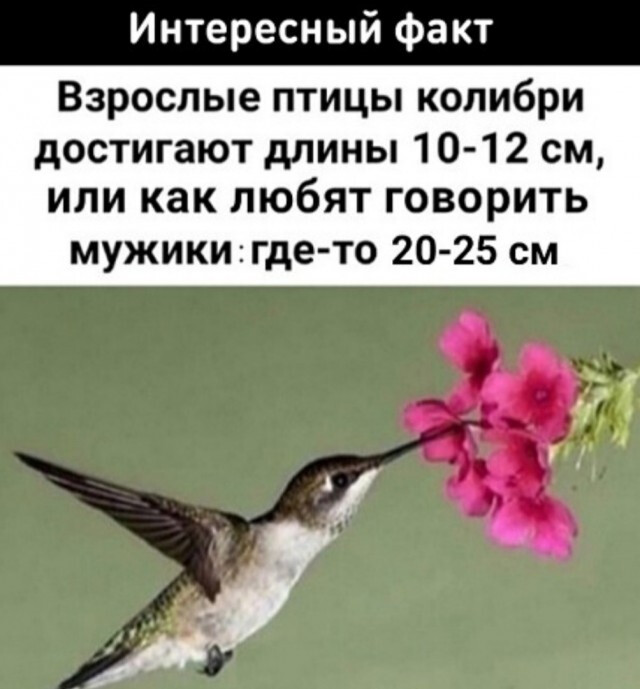 Фотки и картинки: юморные и красивые, забавные и милые 20.04.21