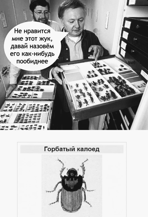 35 картинок разных 26.08.2021