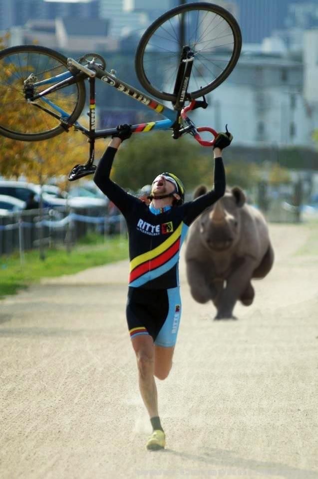 Картинки и мемы для настроения 001